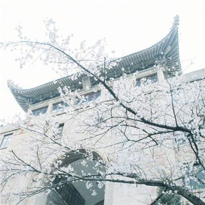 美银上调甲骨文目标价至200美元,预计有30%上涨空间